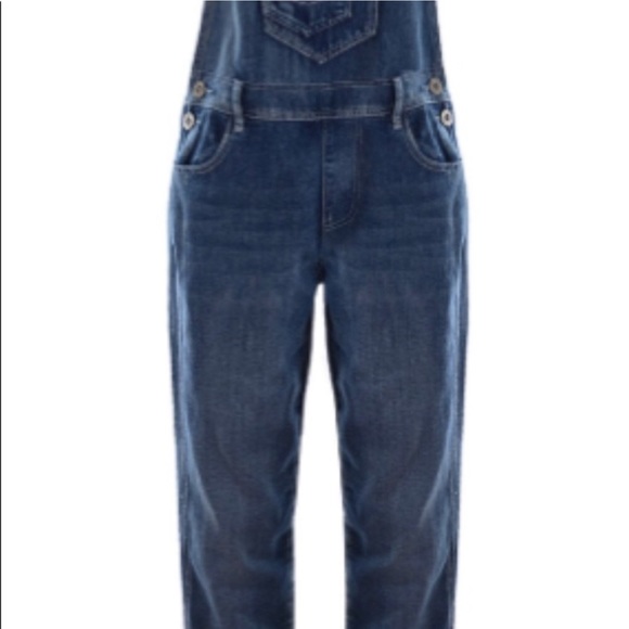 ANNA-KACI
Vintage Straight-Leg Overalls.  L/XL. Used in great condition. - Picture 9 of 13